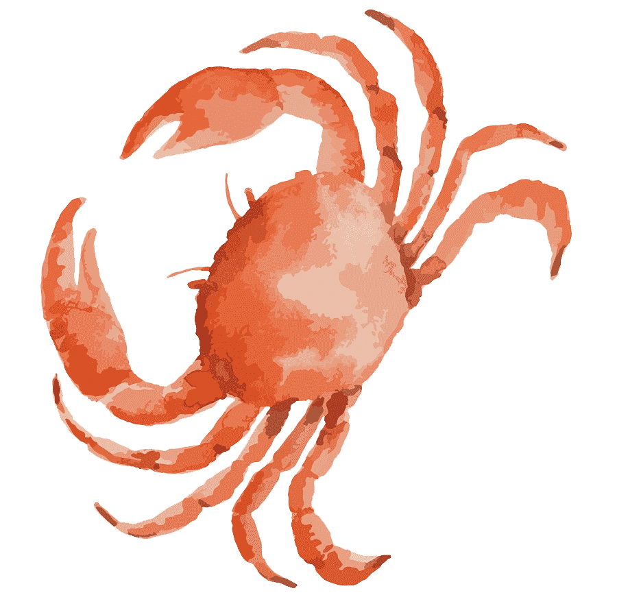 png-clipart-crab-illustration-dungeness-crab-seafood-drawing-crabs-material-food-crustacean